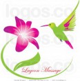 /album/fotos/royalty-free-stock-images-royalty-free-humming-bird-and-pink-and-purple-flower-logo-by-eugene-1740-jpg1/